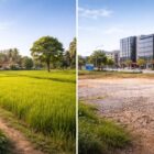 Residential or Commercial Land in Ranchi